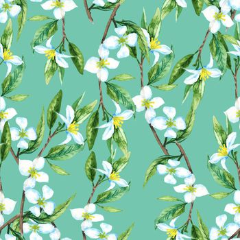 784599-绿叶花—绿