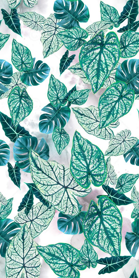 热带印花华亿平台图片