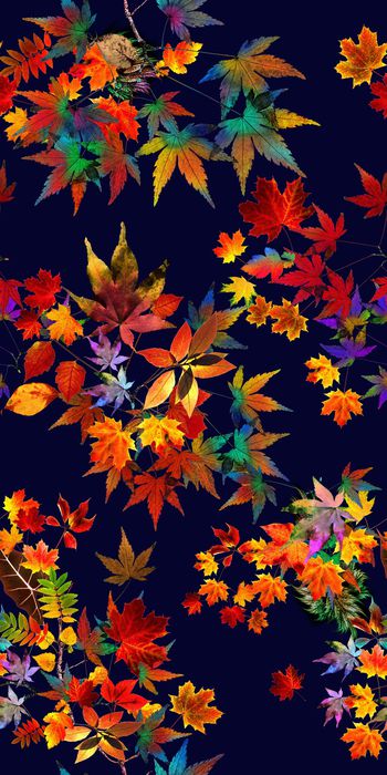 风景印花华亿平台图片