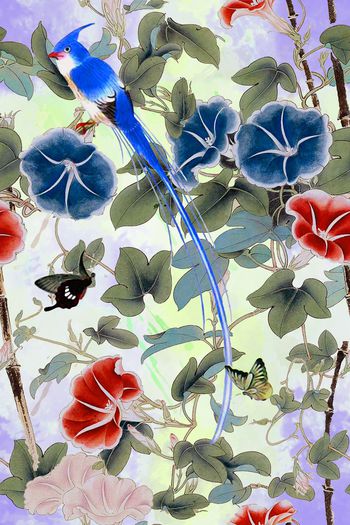 女装裙子泳衣夹克外套印花印花华亿平台图片