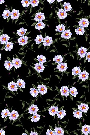 女装印花华亿平台图片