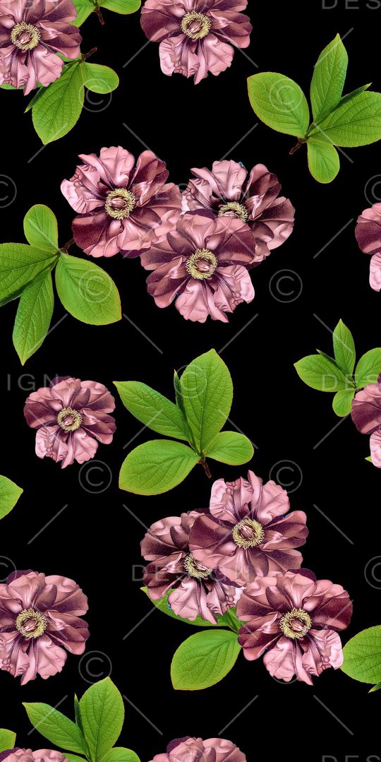 花鸟印花华亿平台图片