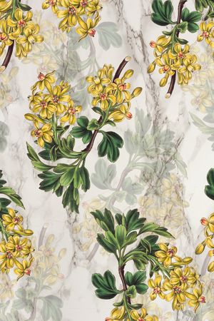 花鸟印花华亿平台图片