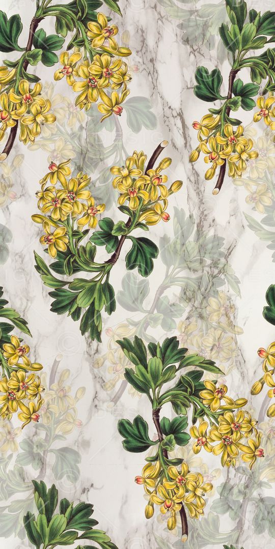 花鸟印花华亿平台图片