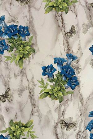 花鸟印花华亿平台图片