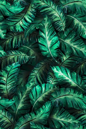 绿植树叶印花华亿平台图片