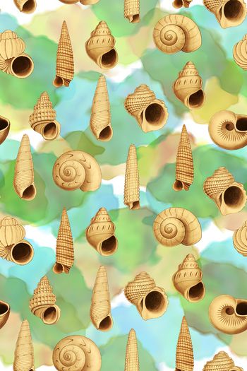 785710-海螺水彩斑纹