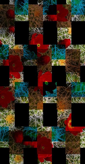 女装印花华亿平台图片