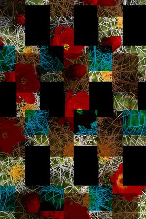 女装印花华亿平台图片