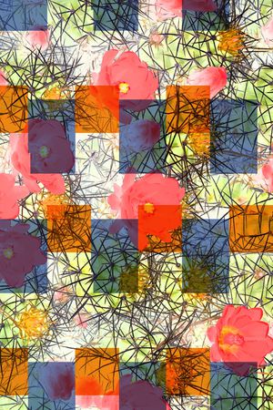 女装印花华亿平台图片