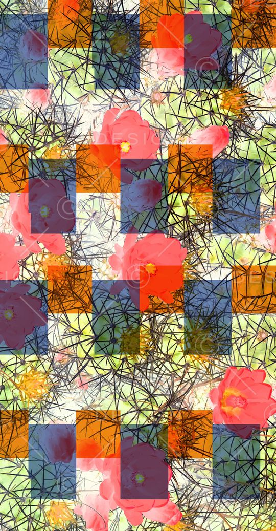 女装印花华亿平台图片