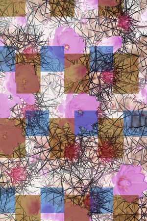 女装印花华亿平台图片