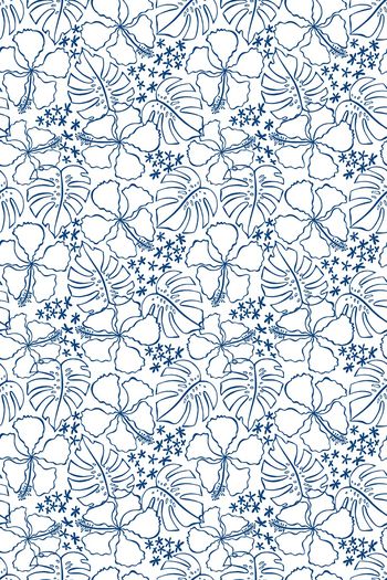 786420-植物叶子 花朵