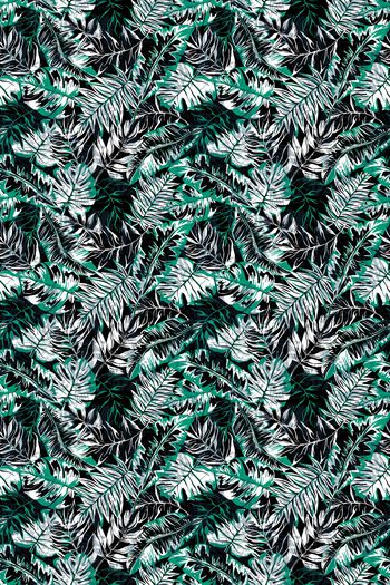 786486-抽象叶子纹理植物