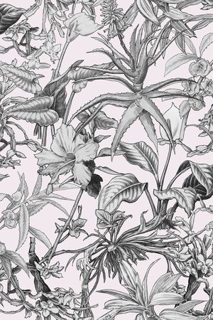 黑白印花华亿平台图片