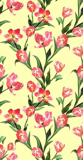 786627-杜嘉班纳风格刺绣感花卉B