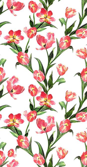 786629-杜嘉班纳风格刺绣感花卉C