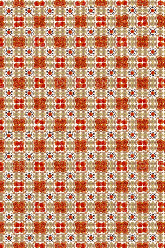 海底生物印花华亿平台图片