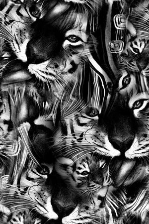 黑白印花华亿平台图片