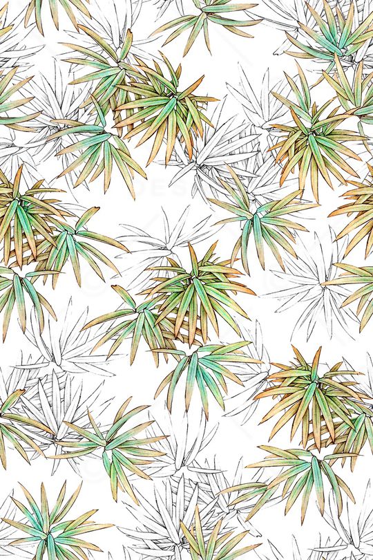 竹子印花华亿平台图片