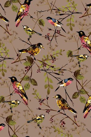 动物印花华亿平台图片