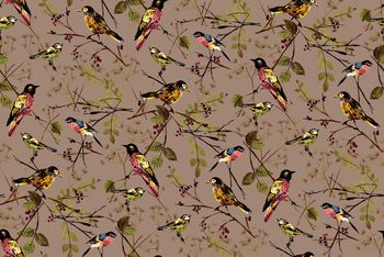 动物印花华亿平台图片