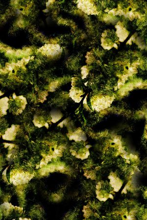 满版花印花华亿平台图片