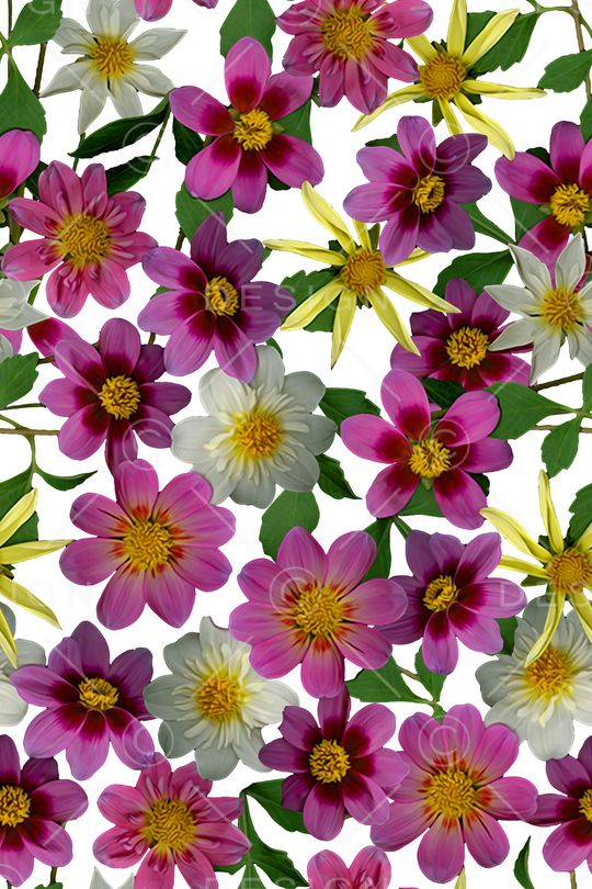 17年流行印花华亿平台图片