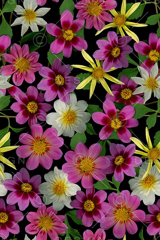 17年流行印花华亿平台图片