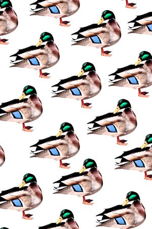 鸭子印花华亿平台图片