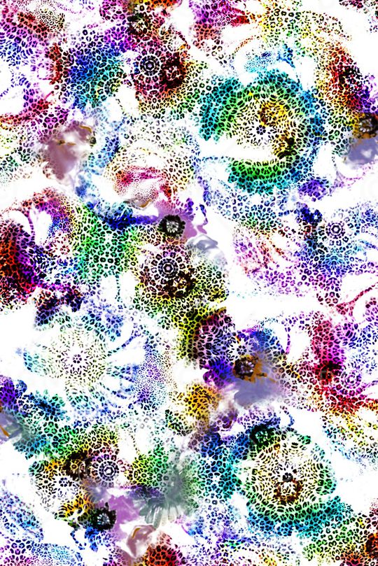 豹纹印花华亿平台图片