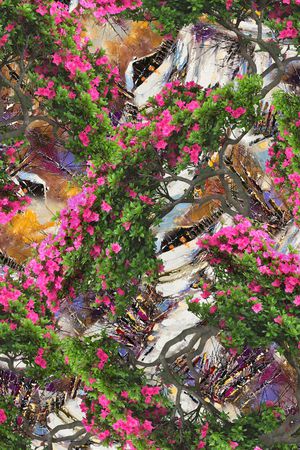 玫瑰印花华亿平台图片