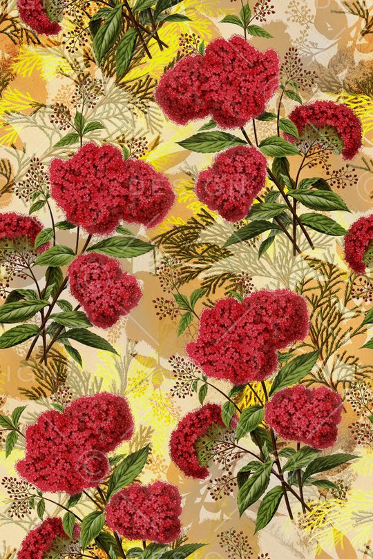 时尚印花华亿平台图片