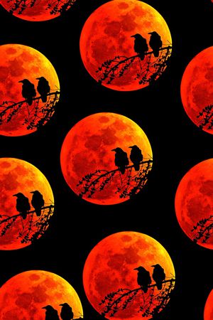 抽象手绘几何太阳鸟类数码印花印花华亿平台图片