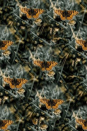 抽象手绘水彩画森林植物数码印花印花华亿平台图片