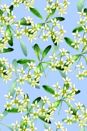 小碎花印花华亿平台图片