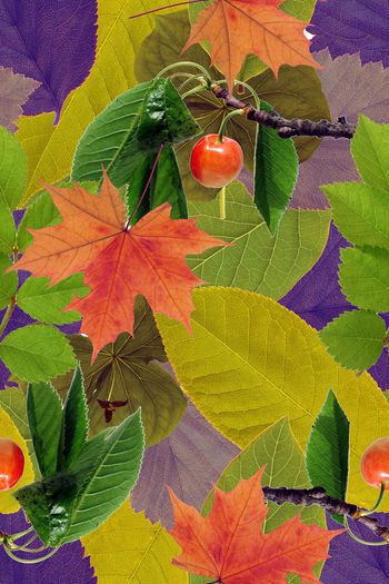 迷彩印花华亿平台图片