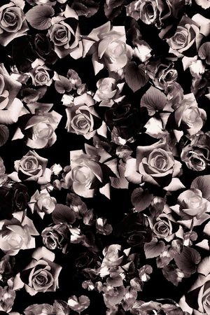 玫瑰印花华亿平台图片