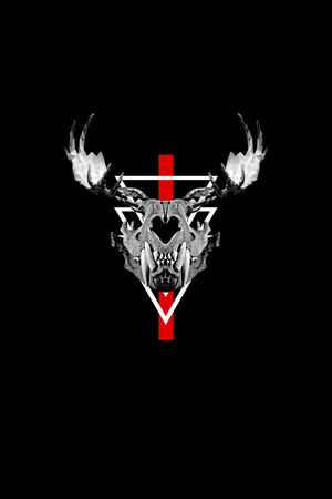 动物骷髅头印花华亿平台图片