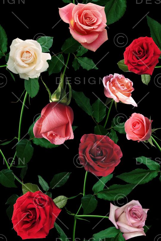 浪漫印花华亿平台图片