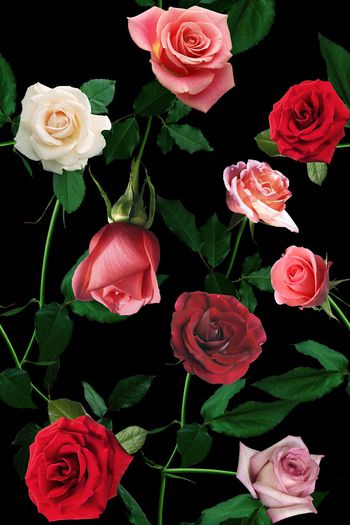 浪漫印花华亿平台图片