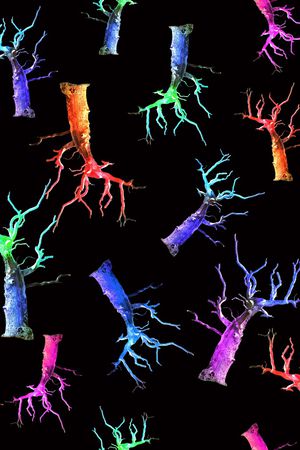 数码印花华亿平台图片