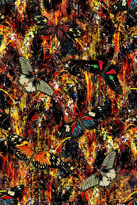 蝴蝶印花华亿平台图片