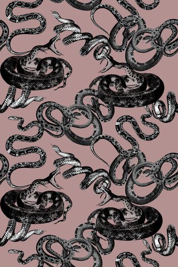 789628-蛇纹春夏女装华亿平台