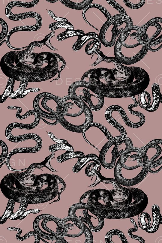 蛇印花华亿平台图片