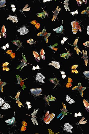 工笔昆虫印花华亿平台图片