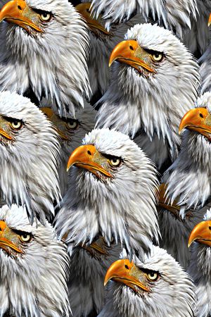 抽象手绘水彩画纹理几何动物老鹰数码印花印花华亿平台图片