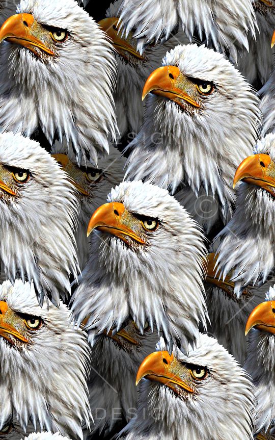 抽象手绘水彩画纹理几何动物老鹰数码印花印花华亿平台图片