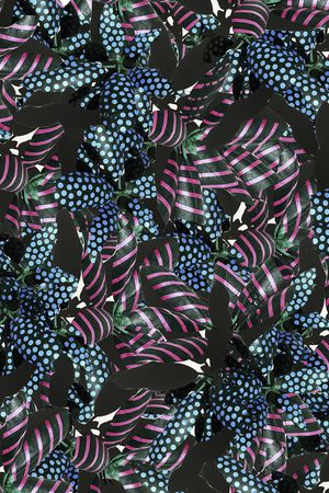 热带印花华亿平台图片