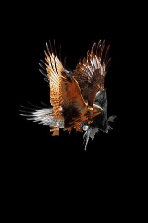 抽象手绘动物老鹰纹理数码印花印花华亿平台图片